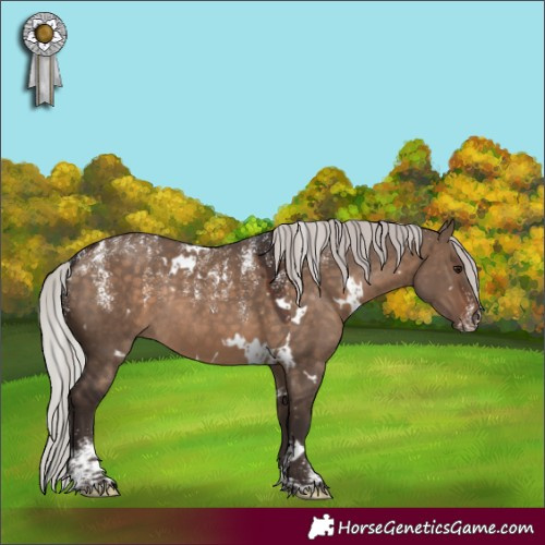 Horse Color:Powder White White Spotted Silver Brown Dun Rabicano 