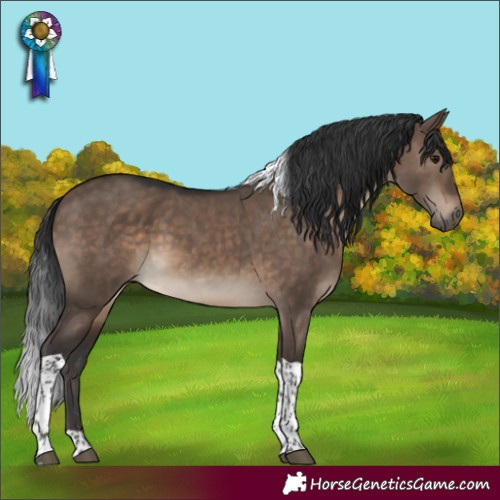 Horse Color:Brown Dun Tobiano 