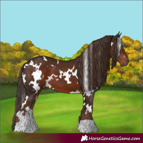 Horse Color:White Spotted Liver Chestnut 