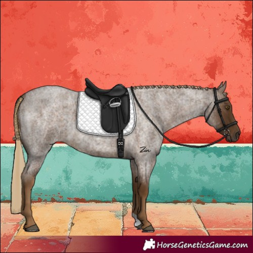 Horse Color:Chocolate Palomino Roan