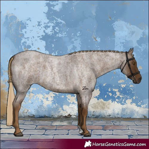 Horse Color:Chocolate Palomino Roan