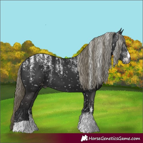 Horse Color:Powder White Gray Liver Chestnut Mushroom Appaloosa