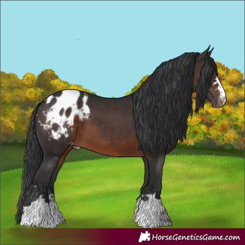 Horse Color:Brown Blanket 