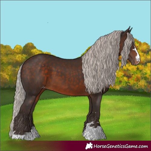 Horse Color:Silver Brown Appaloosa