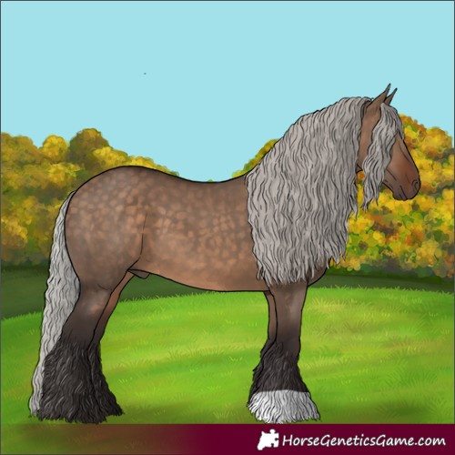 Horse Color:Silver Brown Dun