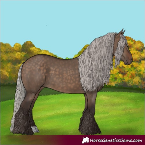 Horse Color:Silver Brown Dun 