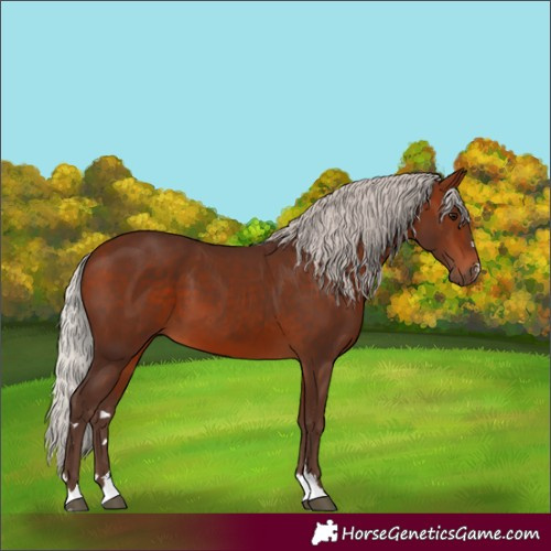 Horse Color:Silver Bay