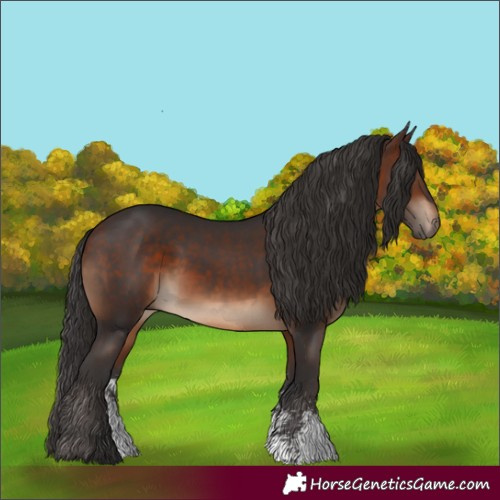 Horse Color:Brown Sabino