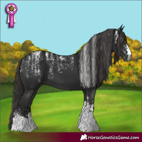 Horse Color:Powder White Gray Liver Chestnut 