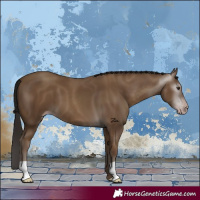 Horse Color:Gray Classic Champagne 