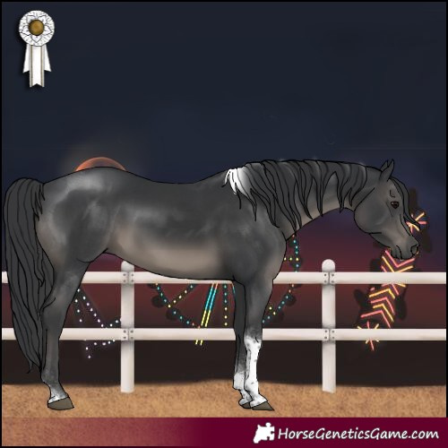 Horse Color:Black Tobiano 
