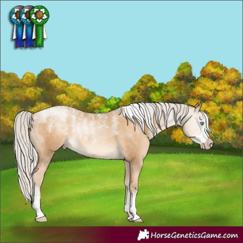 Horse Color:Powder White Gray Silver Sable Cream Champagne Pearl Sabino 