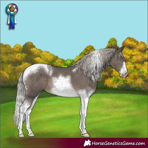 Horse Color:Silver Black Tobiano Frame 