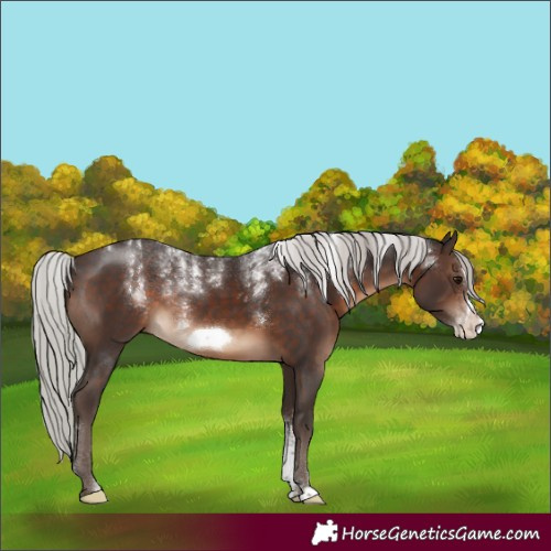 Horse Color:Powder White Silver Brown Frame 
