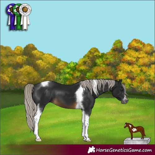 Horse Color:Gray Silver Buckskin Tobiano Frame