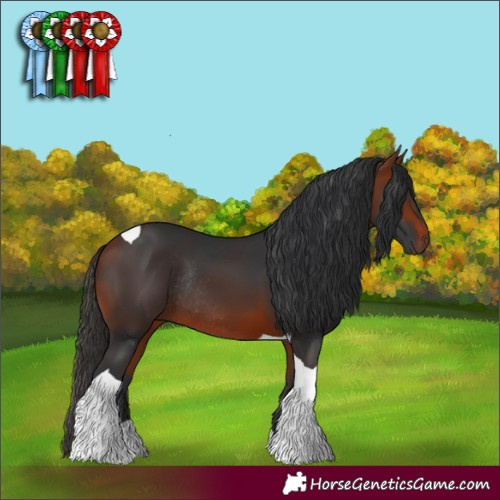 Horse Color:Bay Tobiano Rabicano 