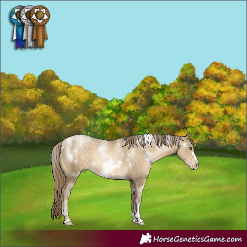 Horse Color:Powder White White Spotted Smoky Black Pearl Frame 