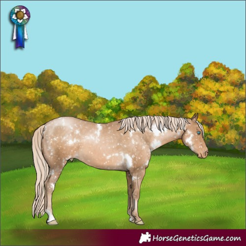 Horse Color:White Spotted Chocolate Palomino Pearl Appaloosa 