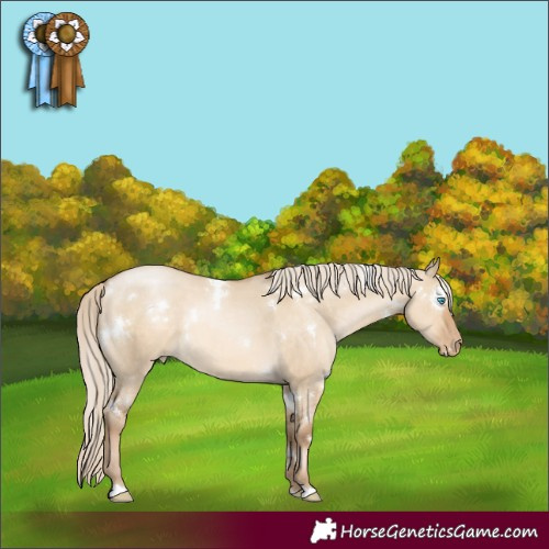 Horse Color:White Spotted Chocolate Palomino Pearl Dun 