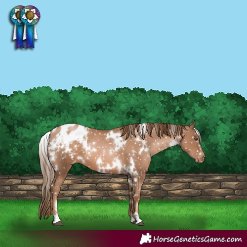 Horse Color:White Spotted Liver Chestnut Pearl Snowflake Varnish 