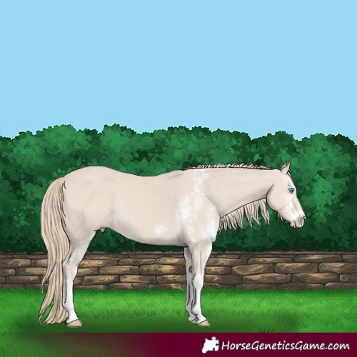 Horse Color:Smoky Creme Sabino