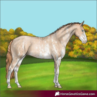 Horse Color:Chocolate Palomino Pearl Sabino Appaloosa Rabicano  and Buckskin Pearl Sabino Appaloosa Rabicano 
