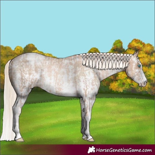 Horse Color:Chocolate Palomino Pearl Sabino Varnish Rabicano  and Chocolate Palomino Pearl Sabino Varnish Rabicano 