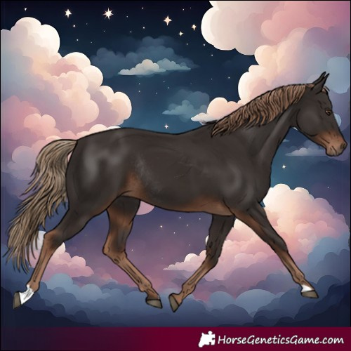 Horse Color:Liver Chestnut Rabicano 
