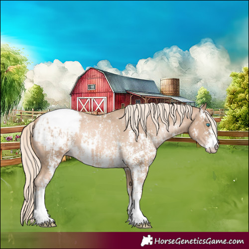 Horse Color:Chocolate Palomino Pearl Sabino Snowcap Rabicano  and Chocolate Palomino Pearl Sabino Snowcap Rabicano 