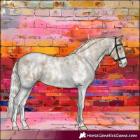Horse Color:Chocolate Palomino Pearl Sabino Snowcap Rabicano  and Chocolate Palomino Pearl Sabino Snowcap Rabicano 
