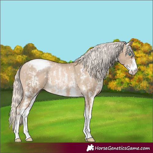 Horse Color:Chocolate Palomino Pearl Sabino Appaloosa Rabicano and Chocolate Palomino Pearl Sabino Appaloosa Rabicano