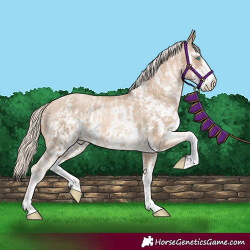 Horse Color:Chocolate Palomino Pearl Sabino Appaloosa Rabicano  and Chocolate Palomino Pearl Sabino Appaloosa Rabicano 