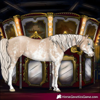 Horse Color:Chocolate Palomino Pearl Sabino Varnish Rabicano and Chocolate Palomino Pearl Sabino Varnish Rabicano