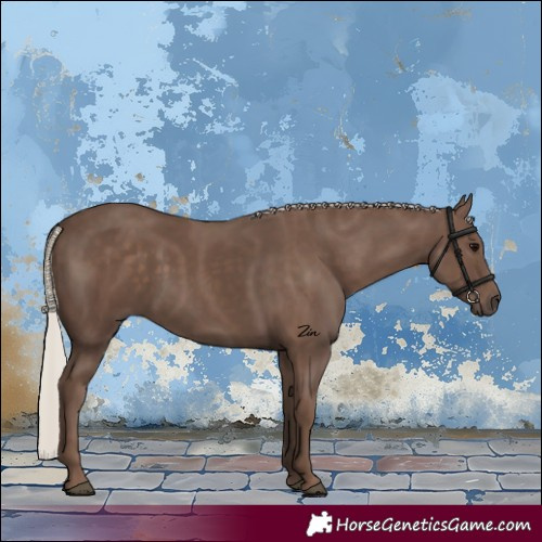 Horse Color:Silver Black 
