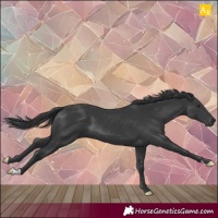Horse Color:Black Mushroom