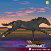 Horse Color:Black Mushroom