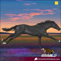 Horse Color:Black Mushroom