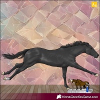 Horse Color:Black Mushroom 