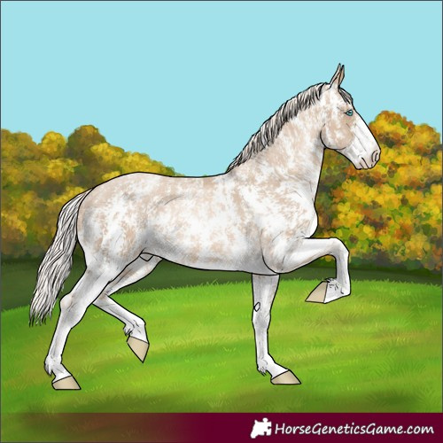 Horse Color:Chocolate Palomino Pearl Sabino Appaloosa Rabicano  and Chocolate Palomino Pearl Sabino Appaloosa Rabicano 