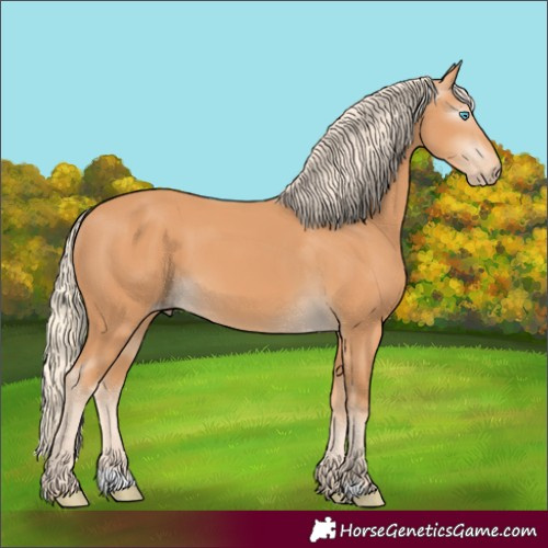 Horse Color:Gray Cremello 