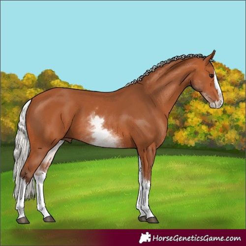 Horse Color:White Spotted Silver Bay Splash 