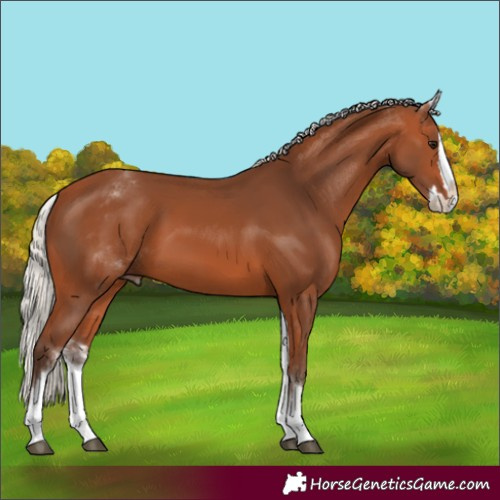Horse Color:White Spotted Silver Bay Splash