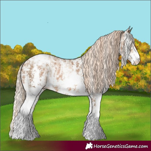 Horse Color:Chocolate Palomino Pearl Sabino Appaloosa Rabicano  and Gray Chocolate Palomino Pearl Sabino Appaloosa Rabicano 