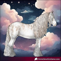 Horse Color:Chocolate Palomino Pearl Sabino Varnish Rabicano  and Gray Chocolate Palomino Pearl Sabino Varnish Rabicano 