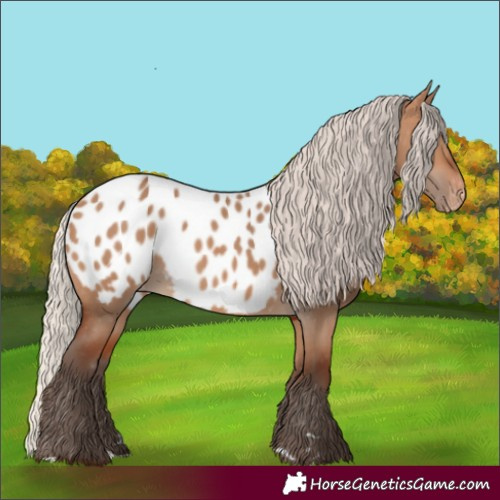 Horse Color:Silver Brown Dun Blanket