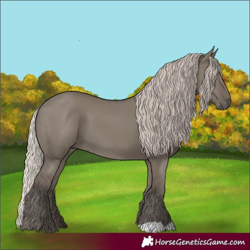 Horse Color:Silver Grullo 