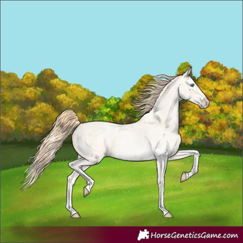 Horse Color:Buckskin Roan Pearl  and Buckskin Roan Pearl Splash 