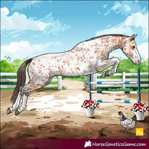 Horse Color:Unknown 