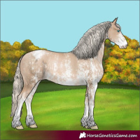 Horse Color:Chocolate Palomino Pearl Sabino Varnish Rabicano  and Liver Chestnut Snowdrop Pearl Sabino Varnish Rabicano 