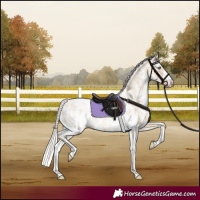 Horse Color:Chocolate Palomino Pearl Dun Sabino Appaloosa Rabicano  and Chocolate Palomino Pearl Dun Sabino Appaloosa Rabicano 